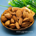 badam has high nutritional and medicinal value almond